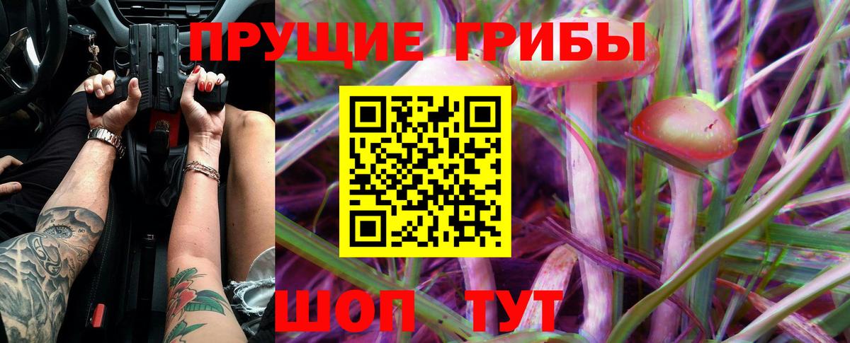 Псилоцибиновые грибы мухоморы Волгоград