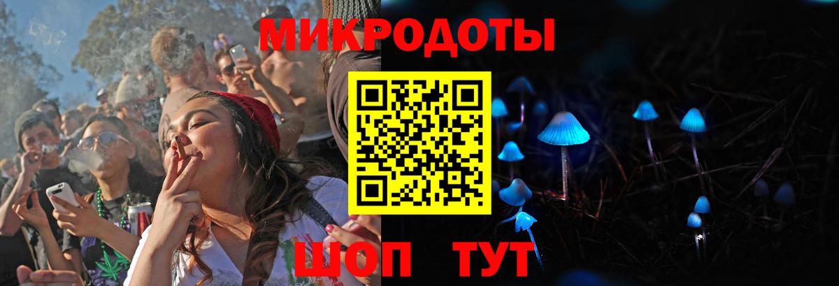 Волгоград  Псилоцибиновые грибы Cubensis  Вход с VPN 